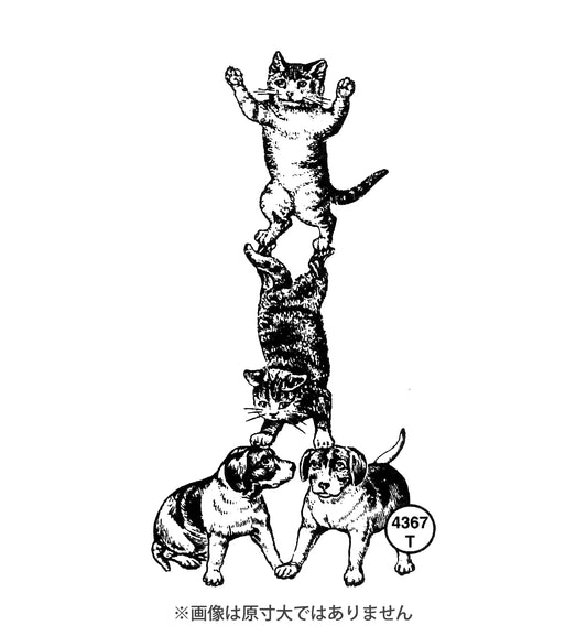 ラバースタンプ 輸入 100 Proof Press #4367 子猫と子犬 Acrobatic Puppies & Kittens