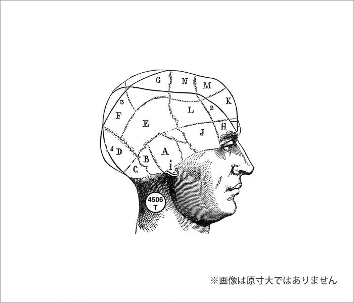 ラバースタンプ 100 Proof Press #4506 ダイアグラムヘッド Diagrammed Head