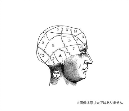 ラバースタンプ 100 Proof Press #4506 ダイアグラムヘッド Diagrammed Head