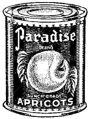 ラバースタンプ 輸入 100Proof Press 杏缶 Paradise Apricots #3742